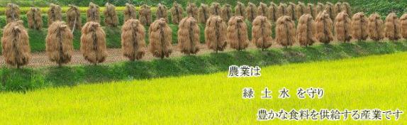 NOSAIの理念