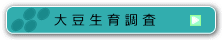 大豆生育調査