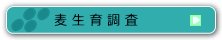 麦生育調査